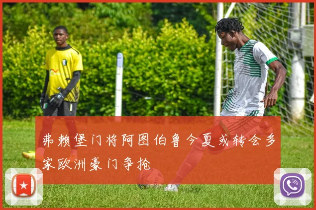 弗赖堡门将阿图伯鲁今夏或转会多家欧洲豪门争抢